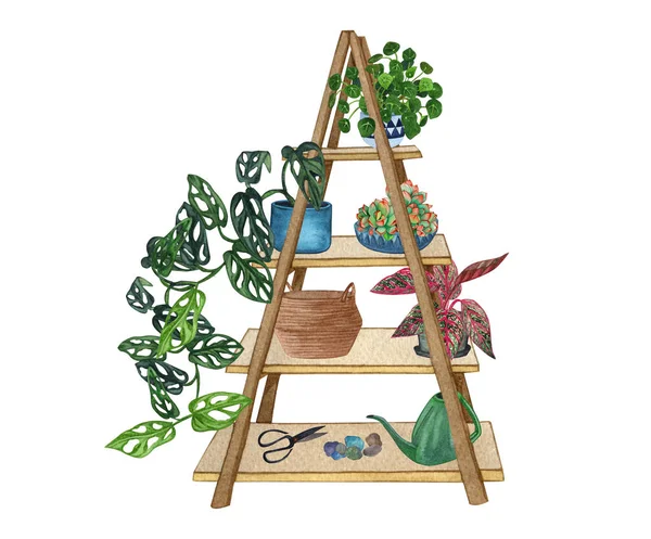 Set of shelf with plants and decorative objects. Indoor plant watercolor illustration. — Stock Fotó