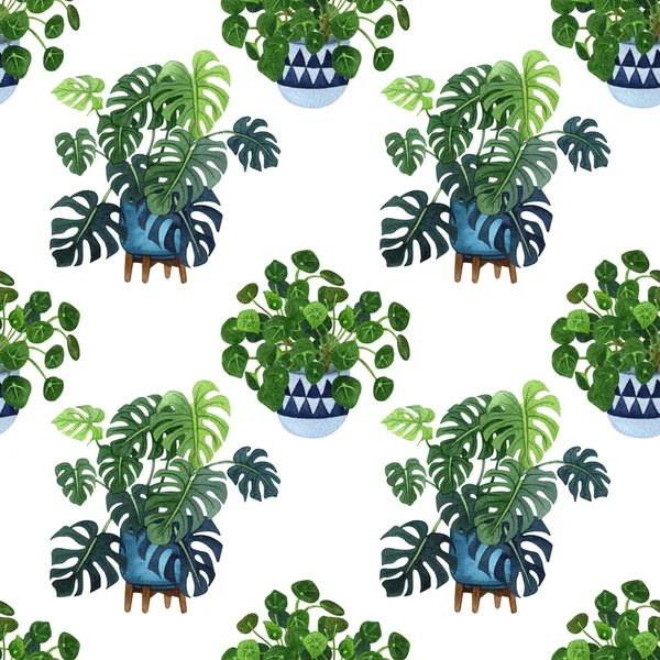 Indoor plant watercolor seamless pattern. Home plants, fig tree, ZZ Plant (Zamioculcas),  Snake Plant (Sansevieria),  Fiddle Leaf Fig,  missionary plants, ficus, monstera in a pot.