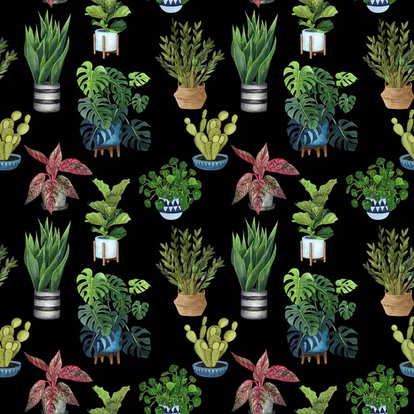 Indoor plant watercolor seamless pattern. Home plants, fig tree, ZZ Plant (Zamioculcas),  Snake Plant (Sansevieria),  Fiddle Leaf Fig,  missionary plants, ficus, monstera in a pot.