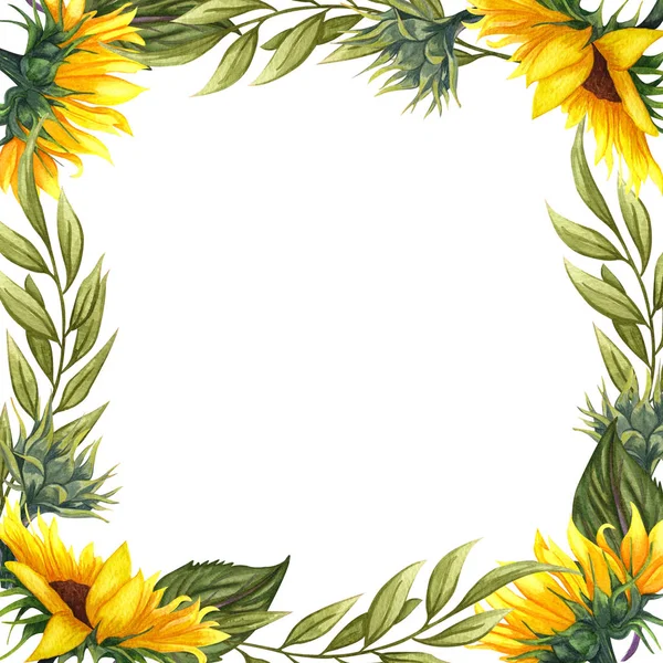 Υδατογραφια floral στεφάνι με ηλιοτρόπια, φύλλα, φύλλωμα, κλαδιά, φύλλα φτέρης και το μέρος για το κείμενό σας. — Φωτογραφία Αρχείου