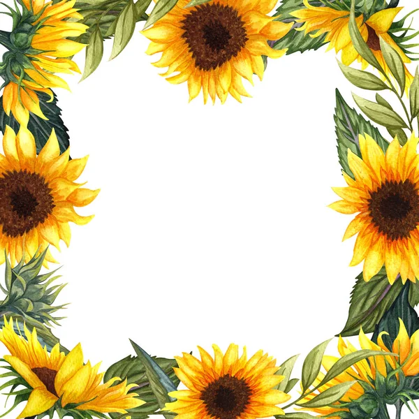 Aquarel bloemen krans met zonnebloemen, bladeren, gebladerte, takken, Fern verlaat en plaats voor uw tekst. — Stockfoto