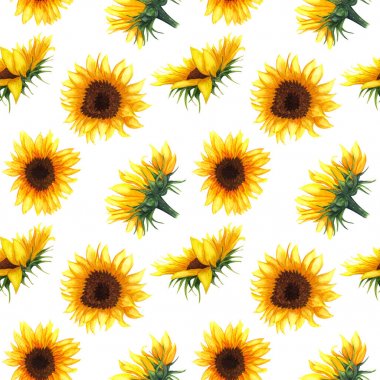 Beyaz arka planda ayçiçeği ile Dikişsiz desen. 