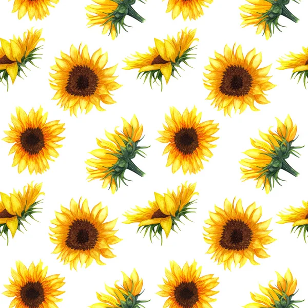 Beyaz arka planda ayçiçeği ile Dikişsiz desen. 