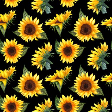 Siyah arka planda ayçiçeği ile Dikişsiz desen. 