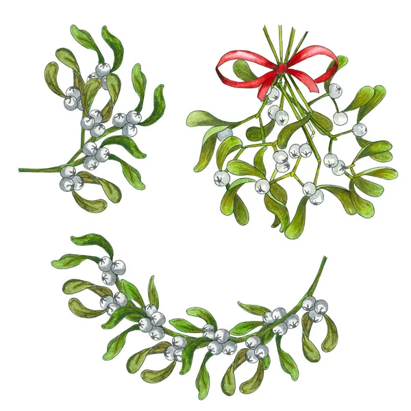 Aquarell-Weihnachtspflanzen Set. . Weihnachten, Neujahr Feiertag Symbol. — Stockfoto