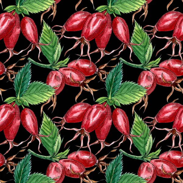 Цветочный бесшовный узор с розовой дикой розой, шиповник, собачья роза, зеленые листья и красные ягоды, ручной рисунок акварелью . — стоковое фото