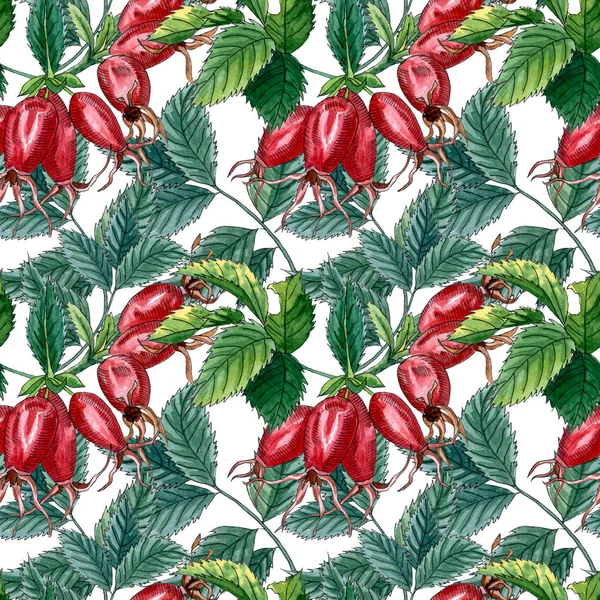 Floral seamless pattern with pink wild rose, rose hip, dog rose, green leaves and red berries, hand drawn watercolor pattern. — Stock Photo, Image