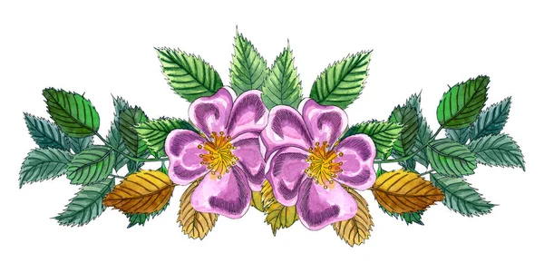 Buquê floral com rosa rosa rosa selvagem, rosa quadril, cão rosa, folhas verdes e amarelas., moldura aquarela desenhada à mão isolado em wthite. composição com flores de Dog rose . — Fotografia de Stock