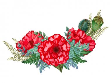 Suluboya haşhaş çiçekleri. Kırmızı haşhaş ve yeşil yaprakları ile güzel parlak buket. Beyaz arka plan daki yalıtılmış görüntü.