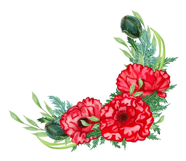 Suluboya haşhaş çiçekleri. Kırmızı haşhaş ve yeşil yaprakları ile güzel parlak buket. Beyaz arka plan daki yalıtılmış görüntü. — Stok fotoğraf