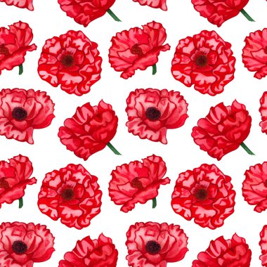 Beyaz arka planda haşhaş ile dikişsiz desen. Koleksiyon dekoratif çiçek tasarım elemanları. Kırmızı haşhaş çiçeği ile sonsuz desen.