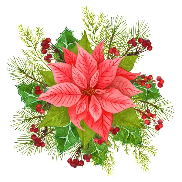 Handbemalte traditionelle Weihnachtssterne und Winterpflanzen: Stechpalme, Beeren und Tannenzweig isoliert auf weißem Hintergrund. Aquarell Weihnachtsstern mit weihnachtlichem Blumendekor. — Stockfoto