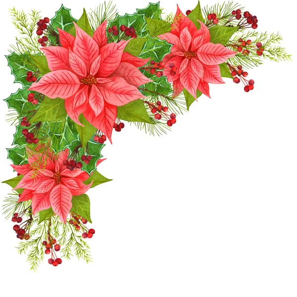 Decoración conner Navidad Estrella de Navidad y plantas de invierno: hojas de acebo, ramita seca con bayas rojas y rama de abeto aislado sobre fondo blanco. Acuarela marco de Navidad de flores de poinsettia . —  Fotos de Stock