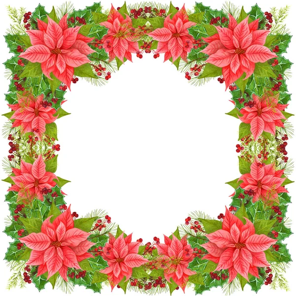 Christmas frame decoration Christmas star and winter plants: holly leaves, dried twig with red berries and fir branch isolated on white background. Watercolor Christmas wreath of poinsettia flowers. — Stock Photo, Image