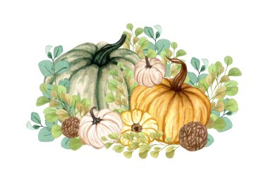 Suluboya illüstrasyon, çiçek kabakları, Cadılar Bayramı klip sanatı, sonbahar tasarım elementleri, sonbahar, sonbahar, beyaz arkaplanda izole edilmiş tatil klibi sanatı.