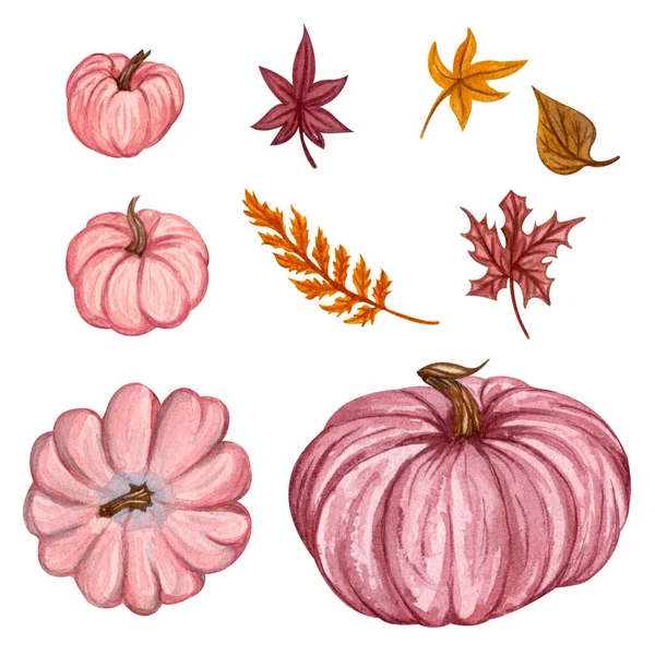 Set di zucche acquerello. Illustrazione autunnale disegnata a mano di diverse zucche. — Foto Stock