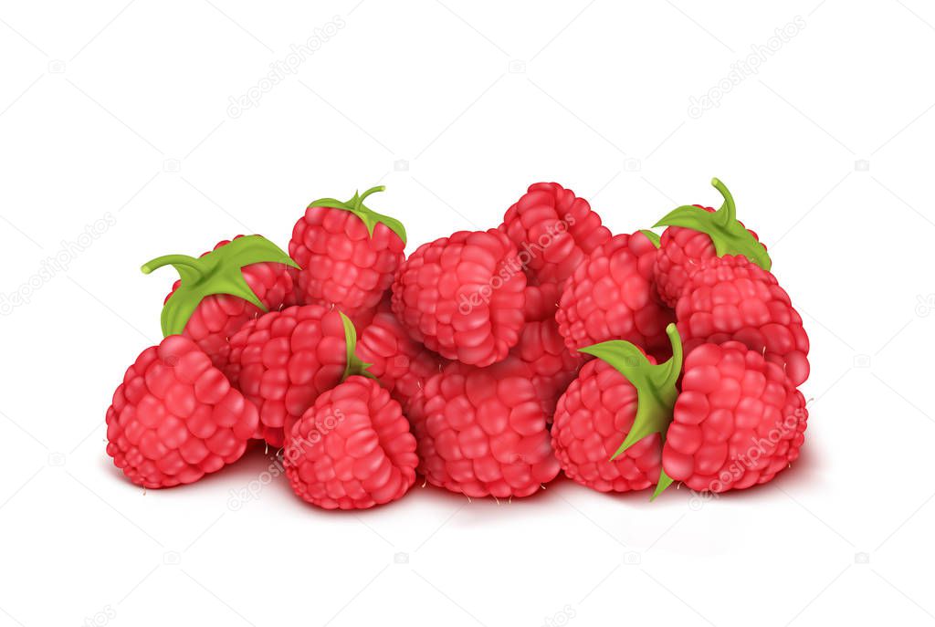 Vector heap of ripe raspberry, summer berry fruit