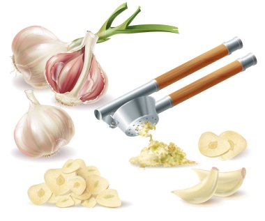Vektörel clipart sarımsak, karanfil ve metal basın