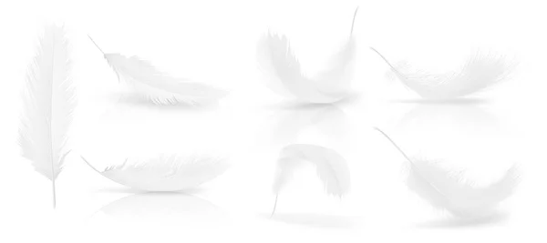 Ensemble réaliste vectoriel 3D de plumes d'oiseaux blancs — Image vectorielle