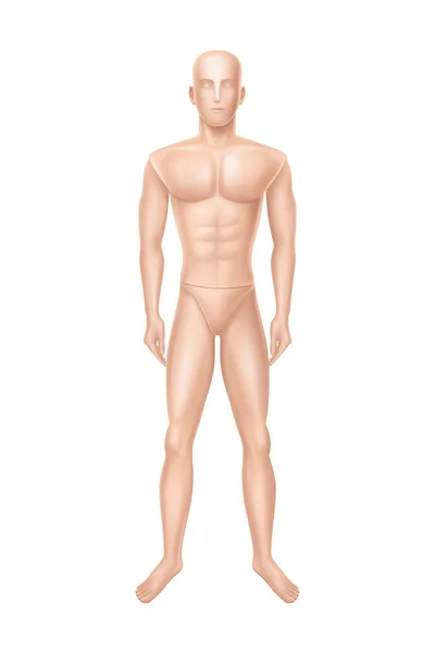 Maniquí masculino vectorial, maniquí para tienda de ropa . — Archivo Imágenes Vectoriales