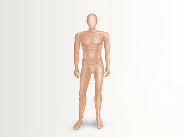 Maniquí masculino del vector 3d, maniquí plástico desnudo — Vector de stock