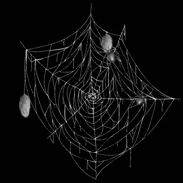 Spiderweb putih vektor dengan laba-laba dan kepompong - Stok Vektor