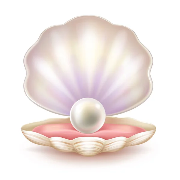 Precious pearl in opened shell realistic vector — Stock Vector