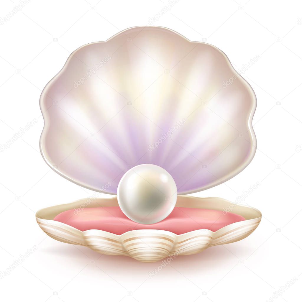 Precious pearl in opened shell realistic vector