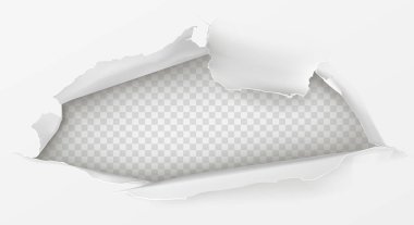 Beyaz kağıt levha 3d gerçekçi vektör delik