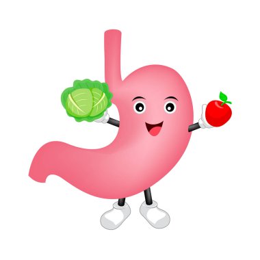 Lahana ve elma ile mutlu sağlıklı mide karakter. Sevimli çizgi simgesi tasarım. İllüstrasyon izole beyaz arka plan üzerinde. Sindirim sistemi, sağlıklı gıda beslenme, mide kavramı.