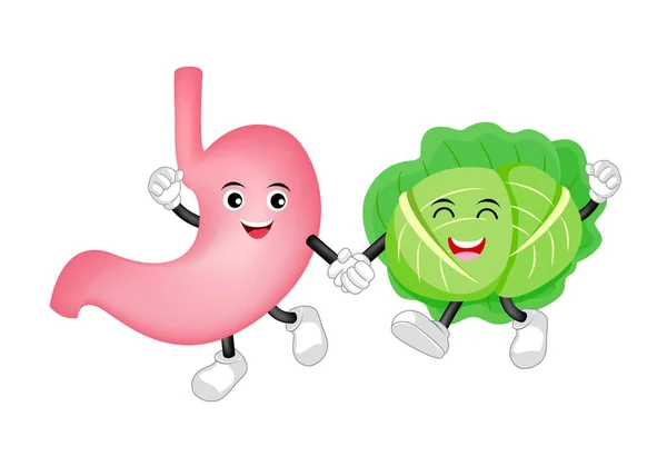 快乐健康的胃性格与白菜 可爱的卡通手牵着手 图标设计 在白色背景上隔离的插图 消化道 健康食品营养 胃概念 — 图库矢量图片