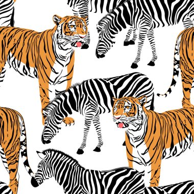 Kaplan ve zebra seamless modeli. Vahşi hayvanlar arka plan doku. İllüstrasyon.