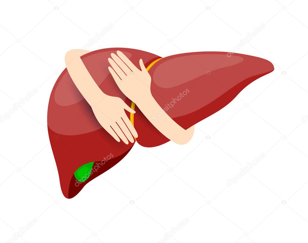 Hands embrace human liver. Health care concept. Icon design. Illustration isolated on white background.
