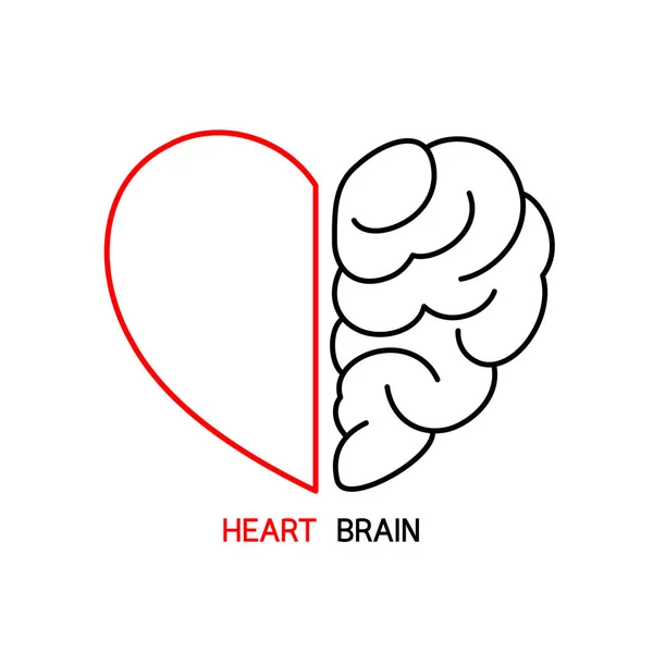 Concepto Corazón Cerebro Conflicto Entre Emociones Pensamiento Racional Trabajo Equipo — Vector de stock