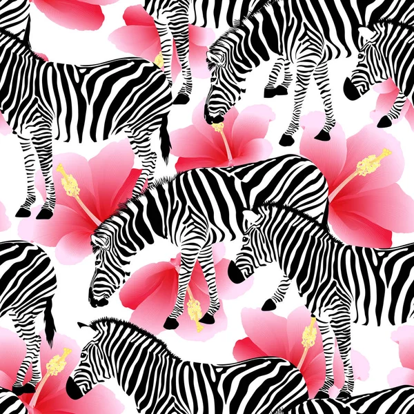 Zebra Hibiscus Różowy Tło Wzór Czarno Biały Pasek Dzikich Zwierząt — Wektor stockowy