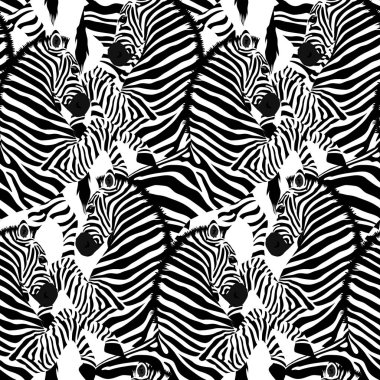 Zebra seamless modeli. Vahşi hayvan, çizgili siyah ve beyaz. tasarım moda kumaş dokusu. Beyaz arka plan üzerinde izole vektör çizim.