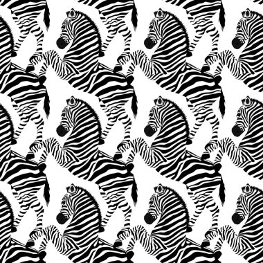 Zebra seamless modeli. Vahşi hayvan, çizgili siyah ve beyaz. tasarım moda kumaş dokusu. Beyaz arka plan üzerinde izole vektör çizim.