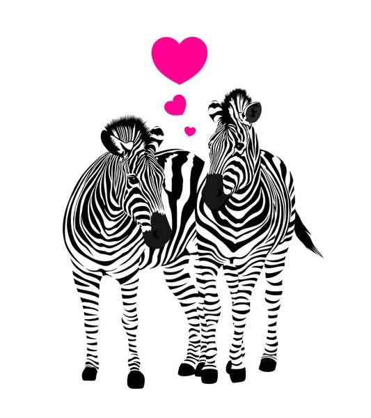 Pareja Cebra Pie Con Corazón Adorno Animales Savannah Textura Animal — Vector de stock