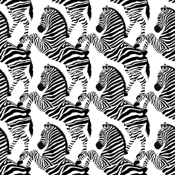 Zebra seamless pattern. Wild animal, striped black and white. design trendy fabric texture. Vector illustration isolated on white background.