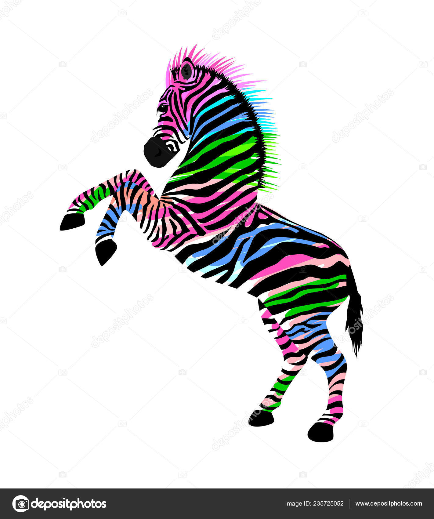 Zebra Hind Legs Wild Animal Texture Striped Black White Vector Stock