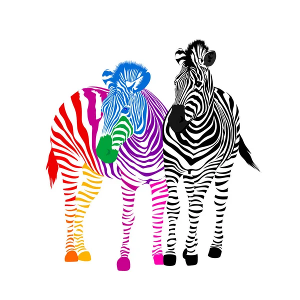 Zebra Para Czarne Kolorowe Paski Ilustracja Białym Tle — Wektor stockowy