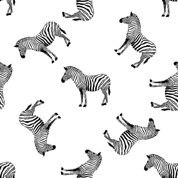 Wzór Zebra Dzikie Zwierzęta Tekstury Paski Czarno Białe Design Modny — Wektor stockowy