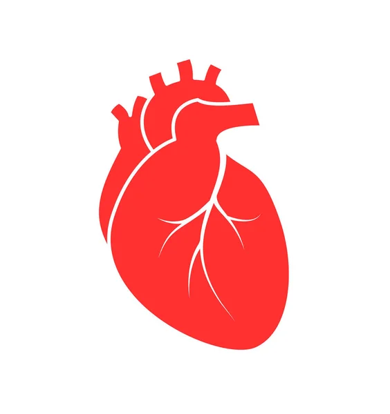 Icono Del Corazón Humano Estilo Plano Ilustración Vectorial Aislada Sobre — Archivo Imágenes Vectoriales