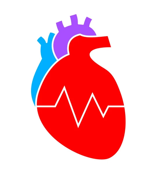 ハートビート アイコンのデザインと人間の心 フラット スタイル 白い背景で隔離のベクトル図 — ストックベクタ