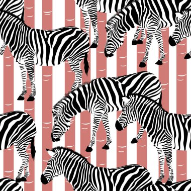 Zebra ahşap arka plan üzerinde. Seamless modeli. Vahşi hayvan doku. Tasarım moda kumaş dokusu, illüstrasyon.