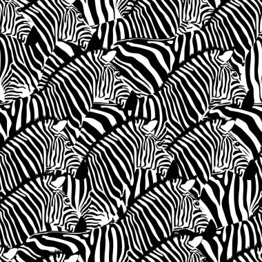 Zebra Dikişsiz desen. Vahşi hayvan dokusu. Siyah ve beyaz çizgili. Tasarım trendy kumaş doku, vektör illüstrasyon.