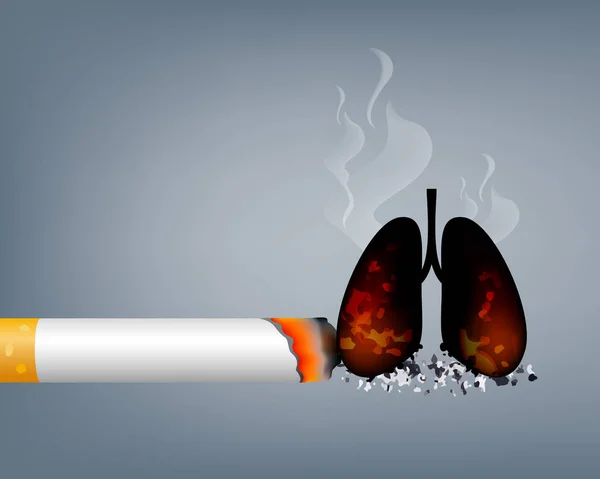 Pare Fumar World Tobacco Day Fumar Prejudicial Aos Órgãos Humanos —  Vetores de Stock