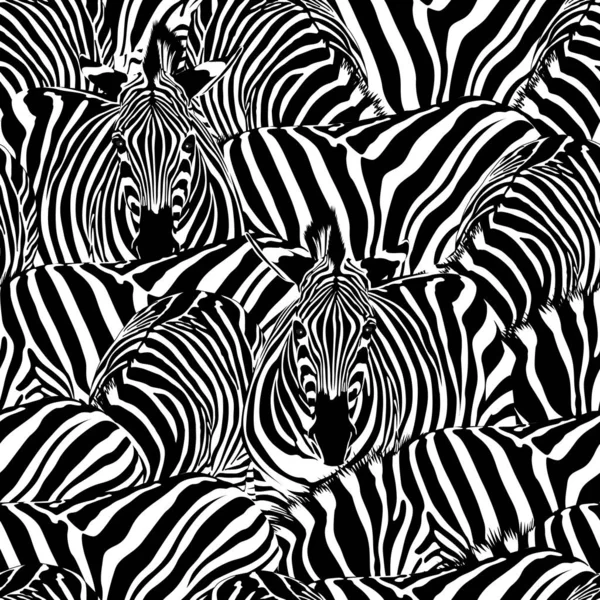 Zebra seamless pattern. Wild animal, striped black and white. design trendy fabric texture. Vector illustration isolated on white background.