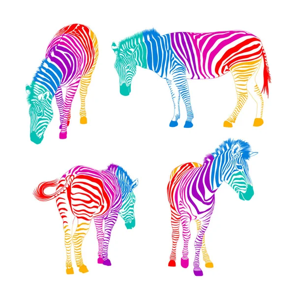 Set Von Bunten Zebras Wildtier Textur Gestreift Vektorillustration Isoliert Auf — Stockvektor