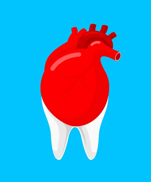 Ανθρώπινη Καρδιά Και Δόντι Συνέταιρος Σχεδιασμός Εικονιδίων Στοματική Υγεία Και — Διανυσματικό Αρχείο